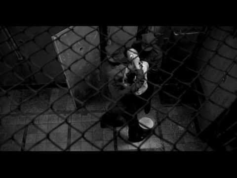 Wiersz Z. Herberta "Przesłanie Pana Cogito"