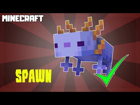 MINECRAFT | How to Spawn Rare Blue Axolotl
