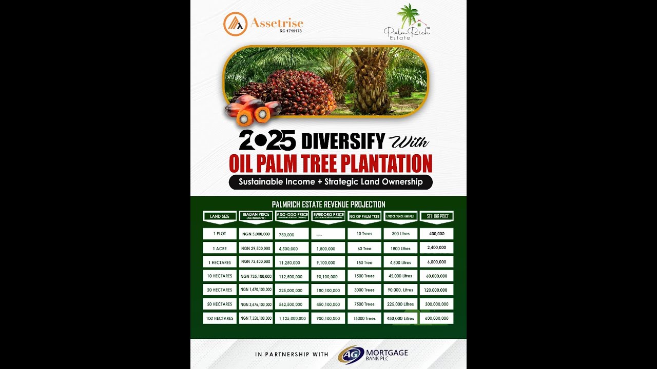 PALMRICH PROJECTION EXPLAINER VIDEO