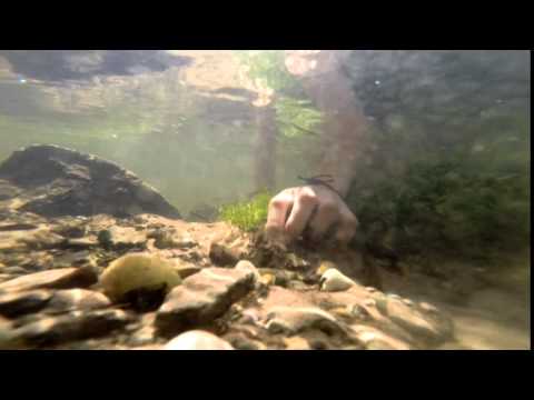 OKTV-Spot Nr. 6 "Fernsehen hautnah"