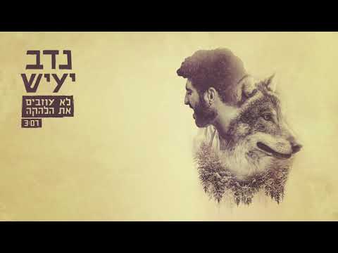 נדב יעיש - לא עוזבים את הלהקה // Nadav Yaish - Lo ozvim Ta'lehaka