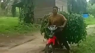 Download lagu STORY WA DRIVER TUKANG NGARIT 😎 mp3