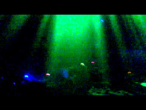 NYE Freeparty @ Ghent (013/Kierewiet/CerebralMalfunction) #4