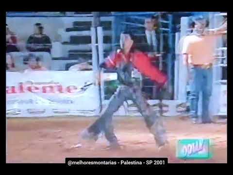 🇧🇷 Silvanei de Carvalho Dias x Timbalada - Rodeio de Palestina 2001 #rodeio #rodeo