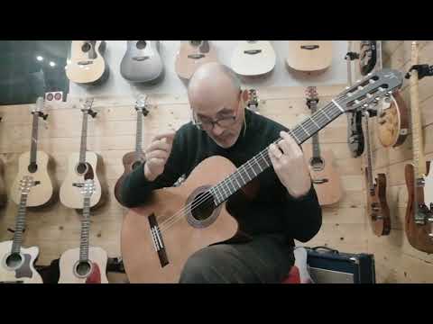 Josè Torres JTC-20CE Classical Guitar Cutaway Electrified image 11