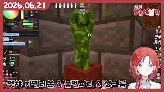 [2026/06/21 멧챠 카멜레온 & 품멜파티 & 싱크룸 (w.멤버 설명 칸) ]