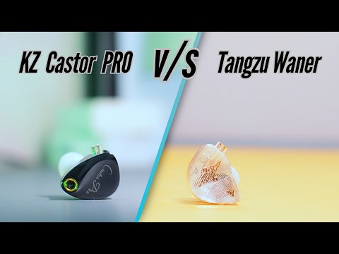 KZ Castor PRO vs Tangzu waner SG | Which IEM to pick ?