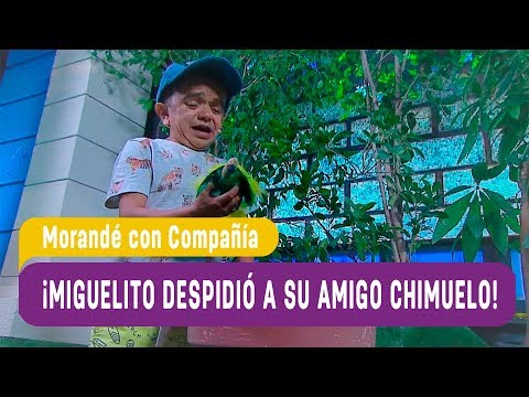 ¡Miguelito despidió a su amigo Chimuelo! - Morandé con Compañía 2019