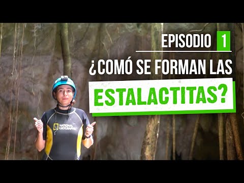 ¿Cómo se forman las estalactitas? | Río Secreto #AlNatural | Ep. 1