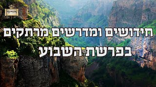 חידושים ומדרשים מרתקים בפרשת השבוע | הרב יחזקאל צמח שליט"א