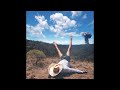 Gravity Blues by Geese
