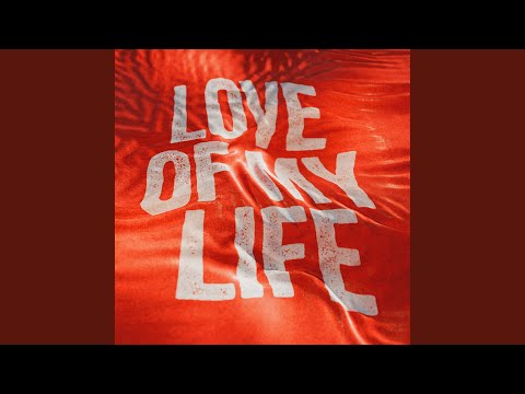 Love Of My Life (Live)