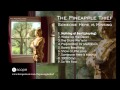 The Pineapple Thief - Nothing at Best (from ...