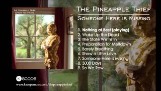 The Pineapple Thief - Nothing at Best (from Someone Here is Missing)
