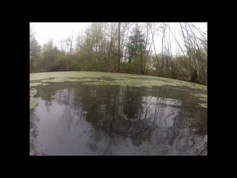Vernal pool in Middleton MA
