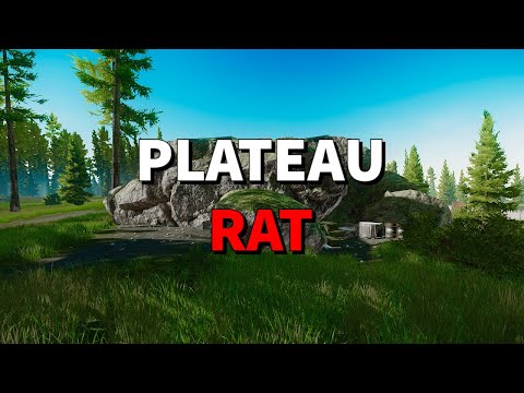 RAT STRAT: sniping from the Plateau spot on Woods - EFT Highlights - Escape from Tarkov