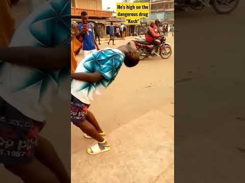 He's high on the dangerous drug "Kush"