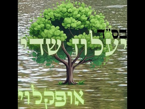 אופק לוי - יעלוז שדי | OFEK LEVI - Ya’aloz Sadai