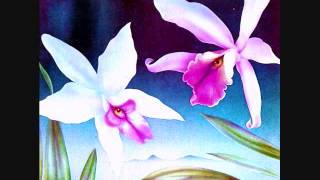 Deodato - Area Code 808