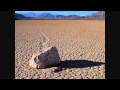 New Musik - While you wait 
