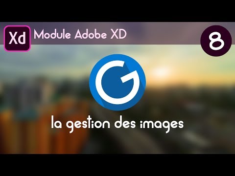 Tuto Adobe XD 8 la gestion des images