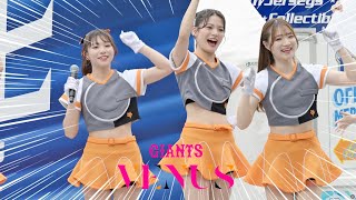 《プロ野球 チアリーダー》読売巨人軍 ジャイアンツ　VENUS ヴィーナス 2024　GIANTS cheerleader  ① 《BraveTV》