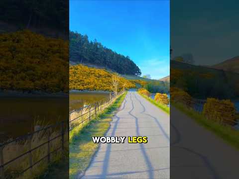 These Vitamins Keep You Walking at 94! #healthyaging #trending #shorts #trending