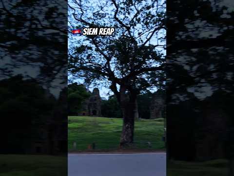 🇰🇭 #siemreap #travel #cambodiatravel #visitcambodia #southeastasia #khmernewyear