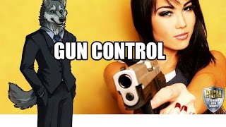 GUN CONTROL, THE VIEW