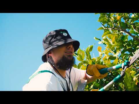 Goldo MAJ - Weedman (Video Oficial) | TRAPSHIT 3