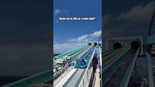 Would You do THIS on a Cruise Ship?! 😳 🤯 #Shorts