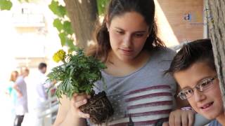 Experiència APS - L'hort de les amistats