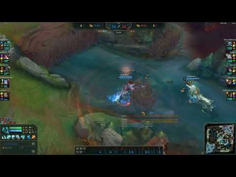 reinkarnirani mujo hrnjica