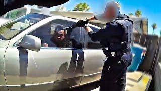 This Is Why Cops Make You Stay In Your Car...