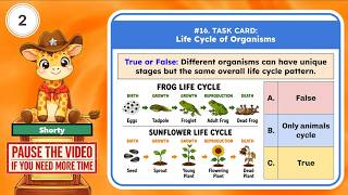 Download lagu NGSS 3rd Grade - Life Science: 3-LS1-1 Life Cycle of Organisms mp3