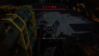 今夜は肥後の暴れ馬と罵倒しあいながらCoDBO4