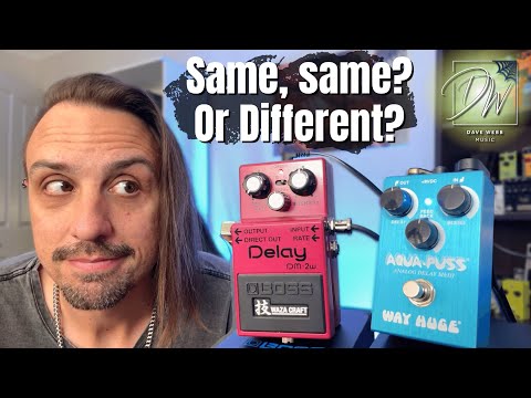 BOSS DM-2W VS Way Huge Aqua Puss - Analogue Delay Shootout
