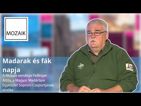 Mozaik – Madarak és fák napja – vendég: Pellinger Attila