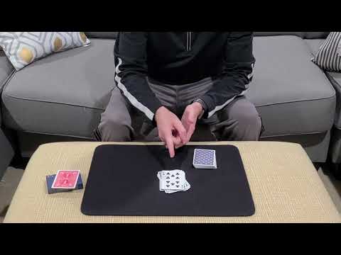 The Butterfly Effect (Peter Nardi)