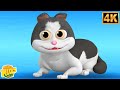 Billi Karti Meow Meow Kalu Madari Aaya More Hindi Nursery Rhymes For Kids हिंदी कवि�
