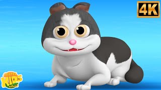 Download lagu Billi Karti Meow Meow, Kalu Madari Aaya   More Hindi Nursery Rhymes for Kids, हिंदी कविताएँ mp3