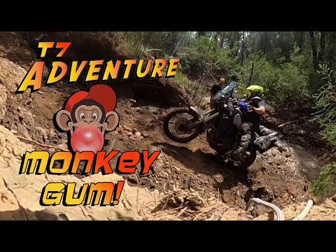 T7 ADVENTURE TO MONKEY GUM!! Victorian high country adventure. Adventure Motorcycle Riding.