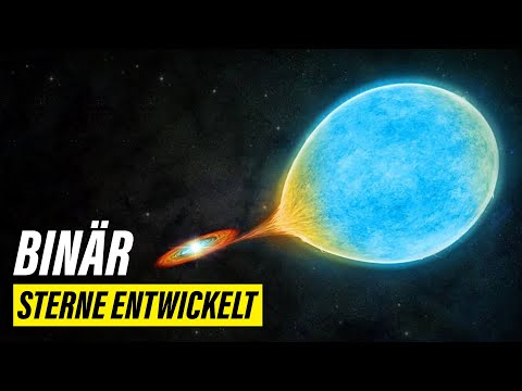 Die Rolle von Doppelsternen in der Sternentwicklung erklärt