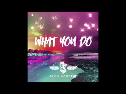 Sean Sahand - What You Do (Official Audio)