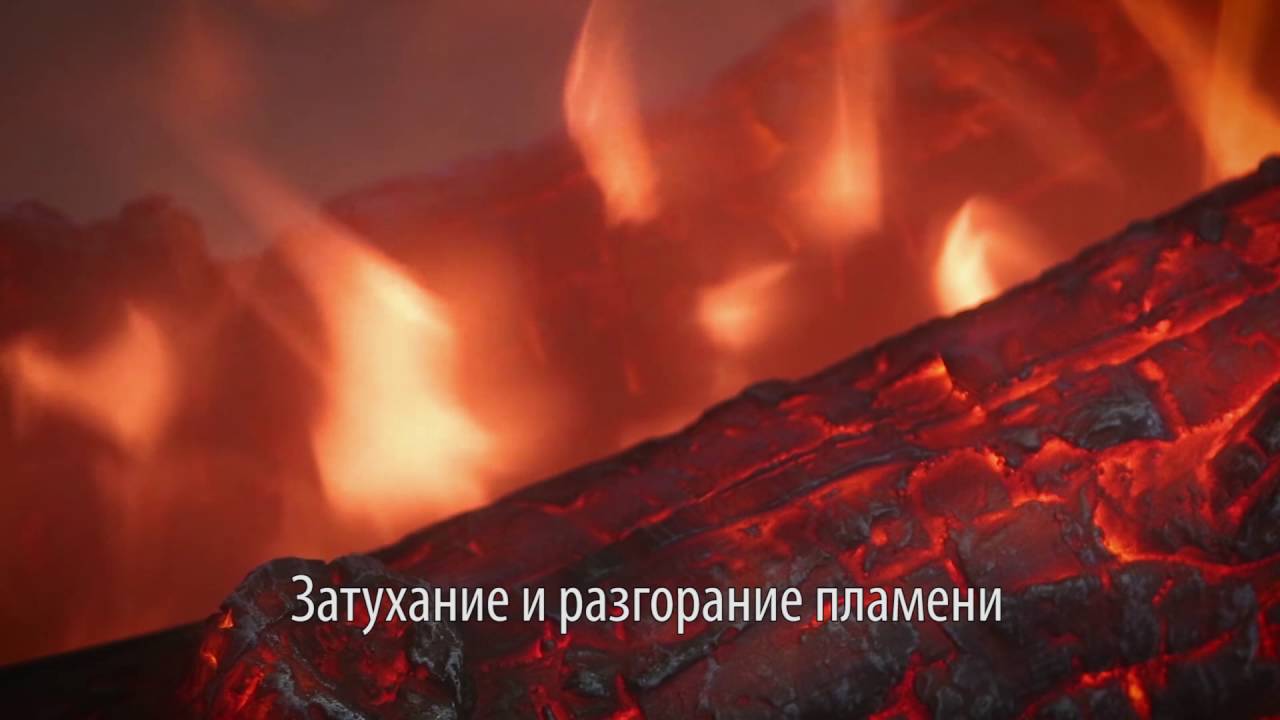 Видео Видео