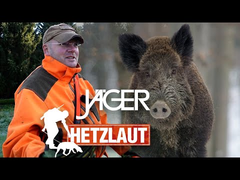 Hunting cry: Wild boar tracking | HUNTER with Chris Balke