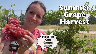 How To Can Grape Juice