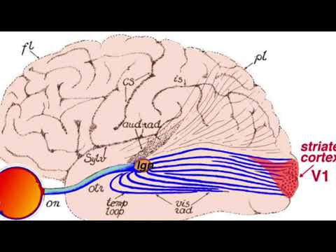 @Artiphon #SmartStrum Contest Entry