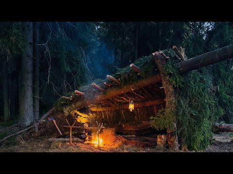 Building a Warm Survival Shelter Under Fallen Trees 🍂  ASMR, No Talk.