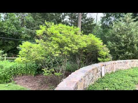 2013 BMW E92 M3 (Lime Rock Park Edition) Take Off